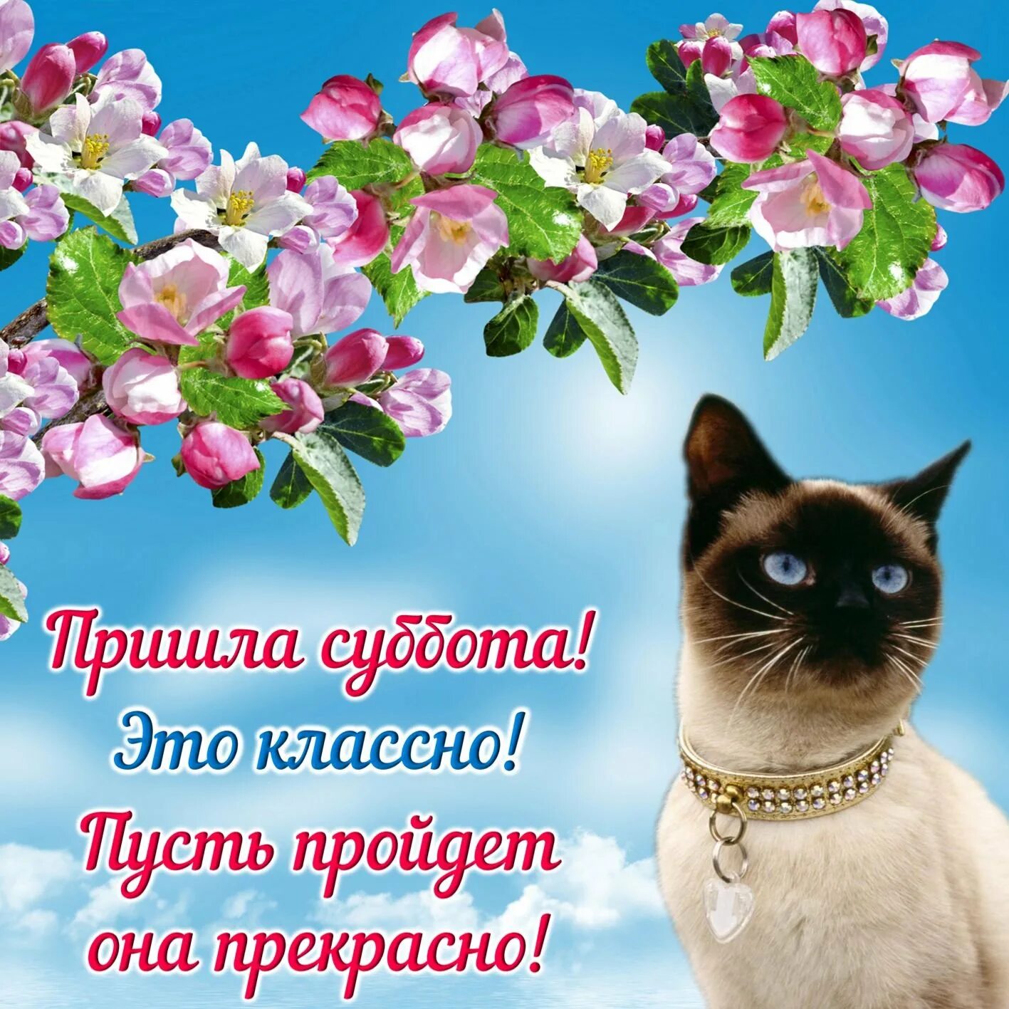 С днем субботы. Отличного весеннего дея. Поздравления с хорошим настроением. Хорошего дня и отличного настроения. Отличного весеннего настроения.