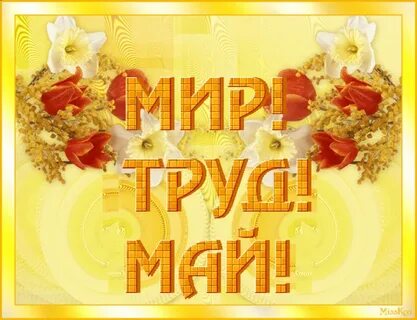 Gif с 1 мая прикольные