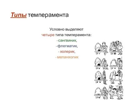 Сангвиник флегматик характеристика тип темперамента
