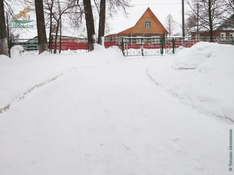 Санаторий родничок суксунский. Санаторий Родничок Кадников. Детский противотуберкулезный санаторий Родничок Кадников. Санаторий Родничок Анжеро-Судженск. Санаторий Родничок Вологда.