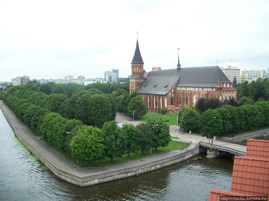 Остров канта детская площадка. Остров кант в калиненграде. Остров канта добраться. Остров канта (кнайпхоф). Остров канта калининград летом.