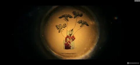 Year of the long