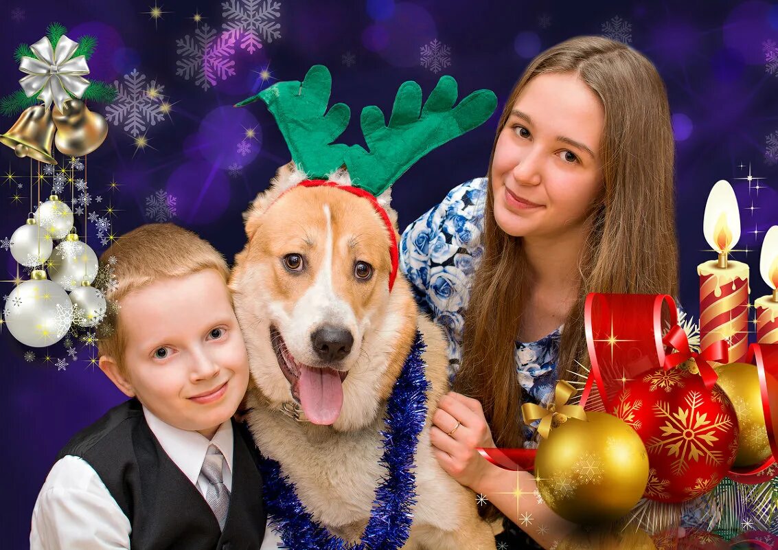 2 девочки с щенком. Собаки девочки сестры. Сестры щенки. Clarissa pet. Clarissa pet.