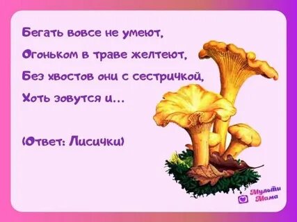 3 загадки про грибы