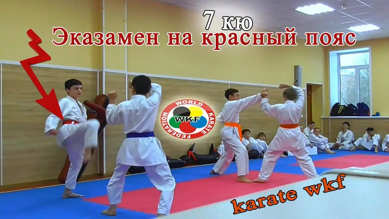 6 кю каратэ. Синий пояс по карате экзамен. Карате экзамены. Экзамен на белый пояс по карате. Пояса в карате.