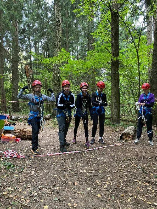 испытание лесов