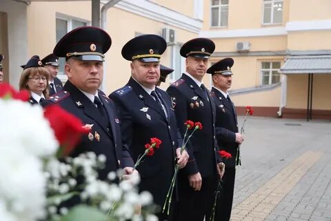 День умвд
