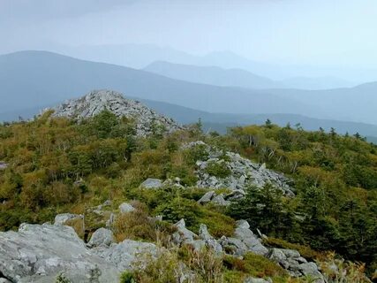 Самая высокая гора в приморском