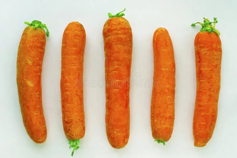 Морковь карточка. Морковь на прозрачном фоне. Морковь посевная. Много морковки. Морковка 5 штук.