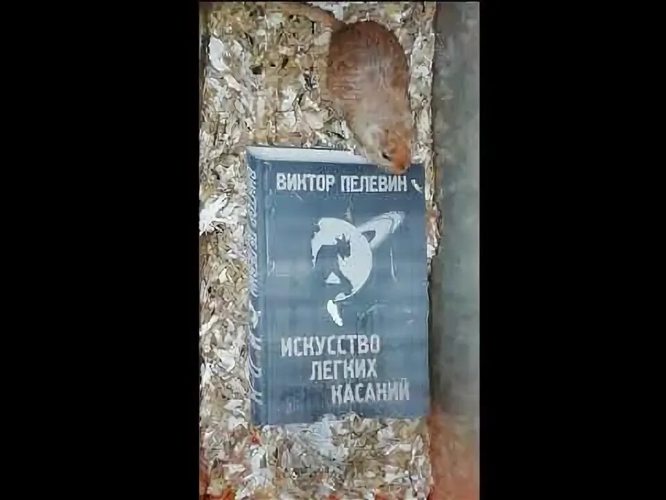 Пелевин искусство касаний слушать. Пелевин искусство легких касаний. иакинф пелевин. искусство лёгких касаний виктор пелевин книга. пелевин иван сарапул.