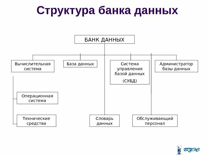 Банки открытых данных примеры. Структура банка данных Информатика. Схема общей структуры банка данных. Банк данных состав схема. Приведите схему общей структуры банка данных.