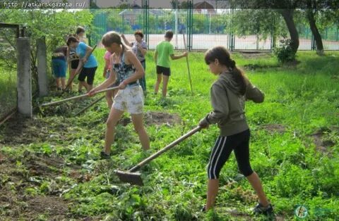 Школа трудовых практик