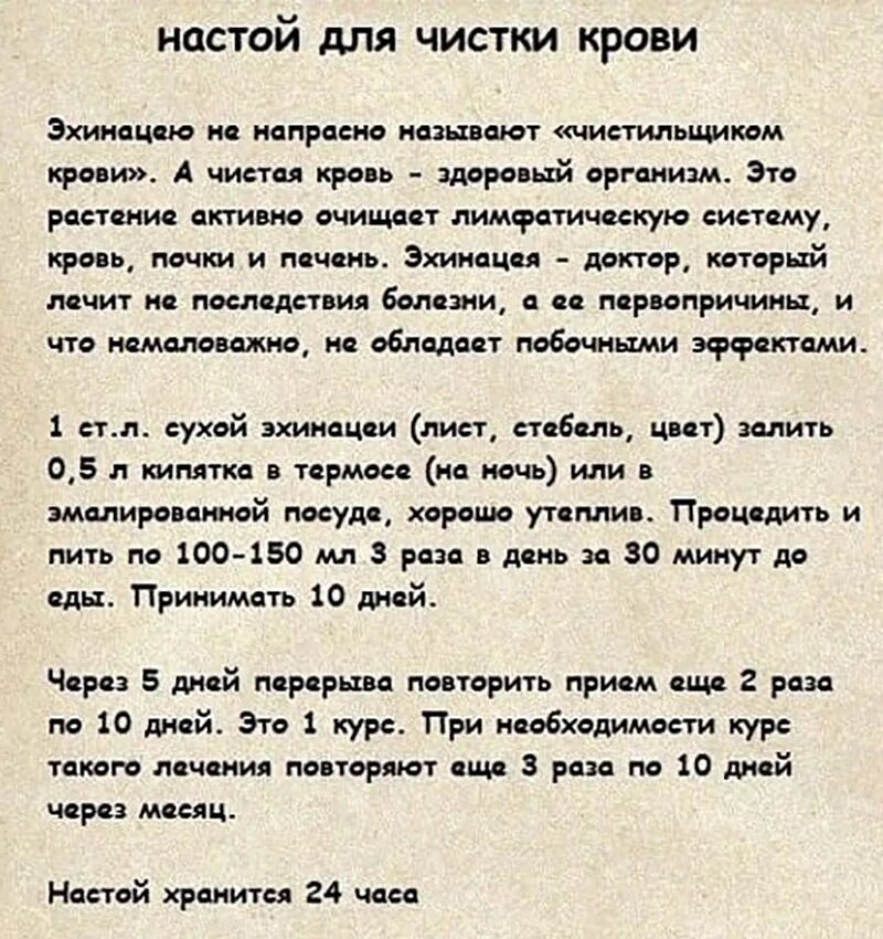 Что чистит кровь в организме. Чем можно почистить кровь в организме человека. Настойка для очищения крови. Чистка крови народные рецепты. Крапива чистит кровь.