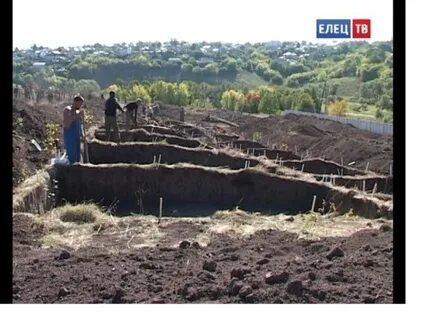 О чем свидетельствуют данные находки