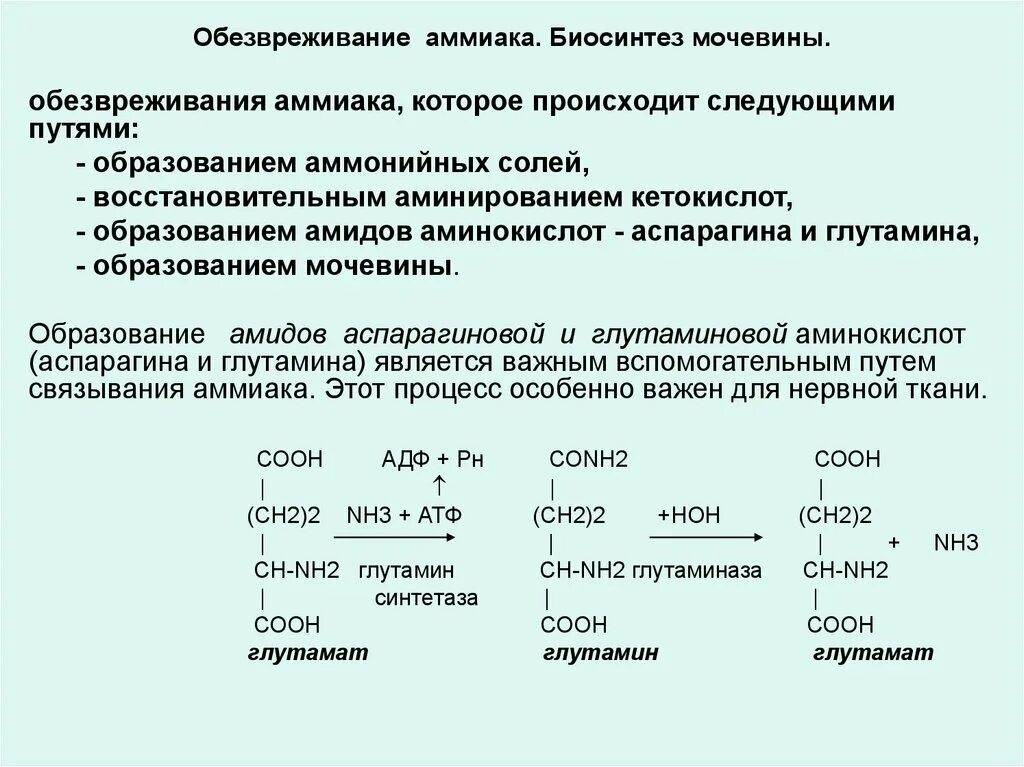 Обезвреживаются яды под действием ферментов печени. Реакция образования аммиака в организме. Реакция обезвреживания аммиака биохимия реакции. Механизм обезвреживания аммиака схема. Основные реакции обезвреживания аммиака.