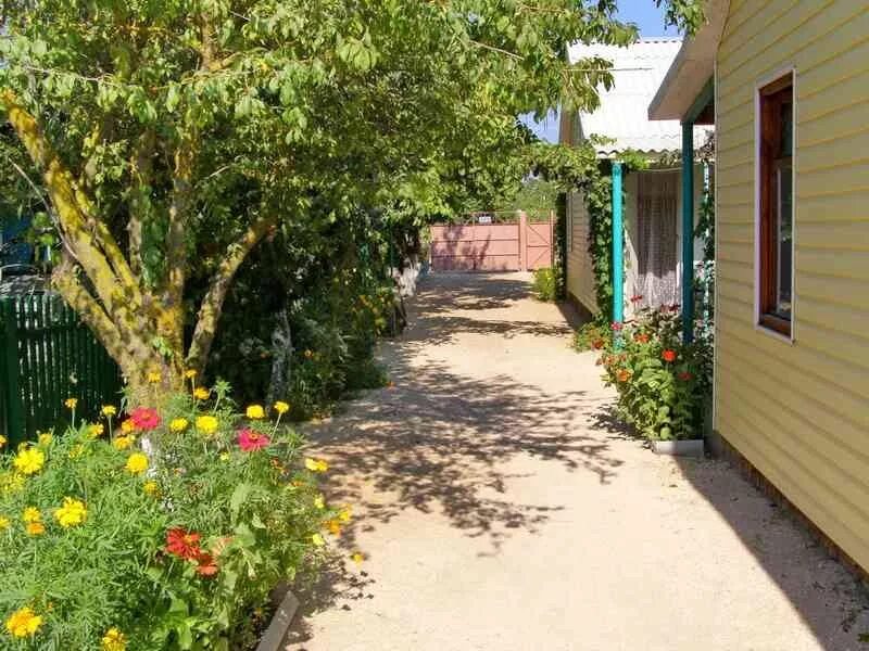 Цветы геническ. Геническ набережная 3а. Астрагал даурский. Геническ площадь возрождения. Город геническ аллея сказок.