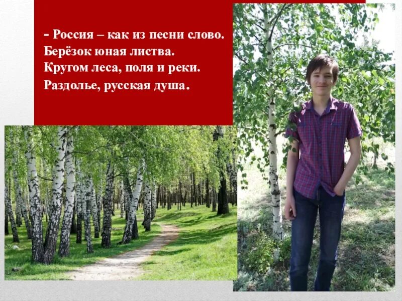 Песня березка текст