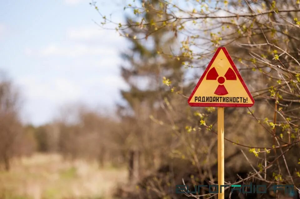 Чернобыль зона радиации. Радиоактивная зона. Радиоактивная зона. Радиоактивное загрязнение леса. Чернобыль радиация.