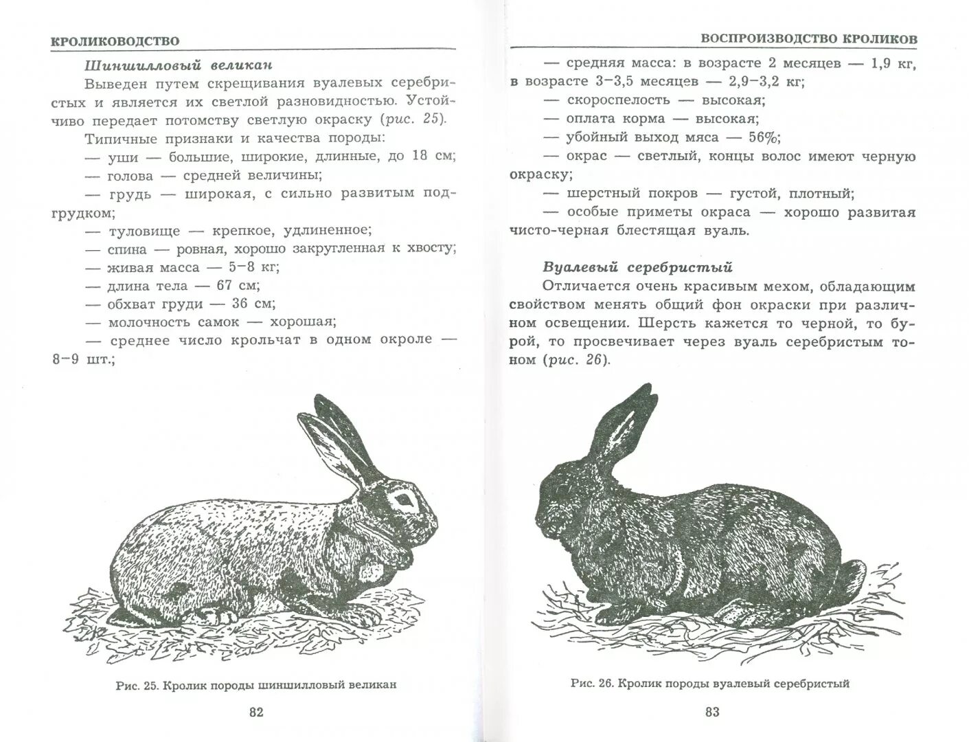Бельгийские кролики великаны вес. Кролиководство книга. Вес кролика серый великан по месяцам. Длина тела кролика. Вес кролика калифорнийской породы.