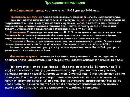 Профилактика трехдневной малярии