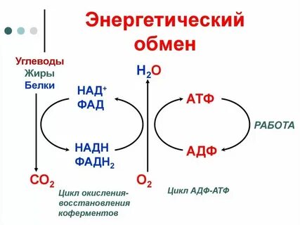 Какой размене