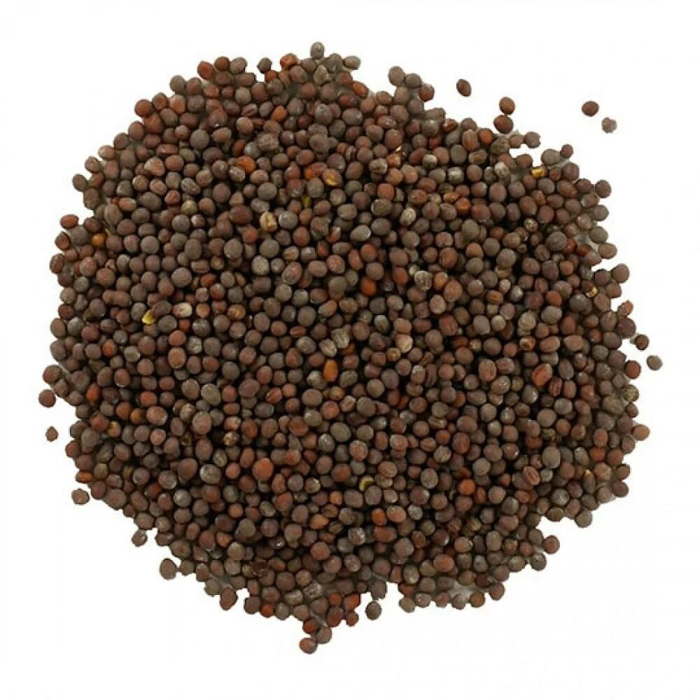 Рапс семена купить. Черная горчица (семена). Рапс семена. TRS Mustard Seeds (Brown) семена горчицы (коричневые) 100г. TRS Mustard Seeds (Brown) семена горчицы (коричневые) 1000г TRS арт. 175436.