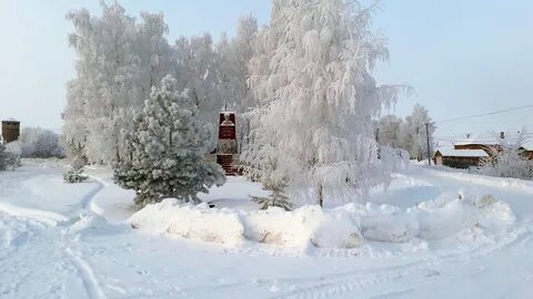 Рязанская область зимой