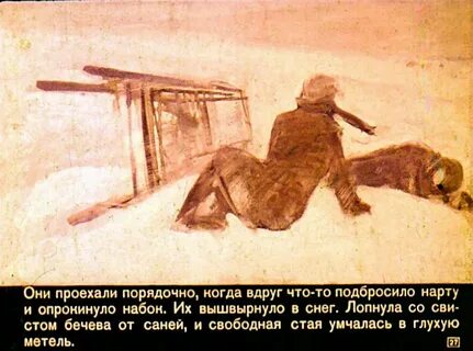 Дикая собака динго краткий пересказ 2 глава