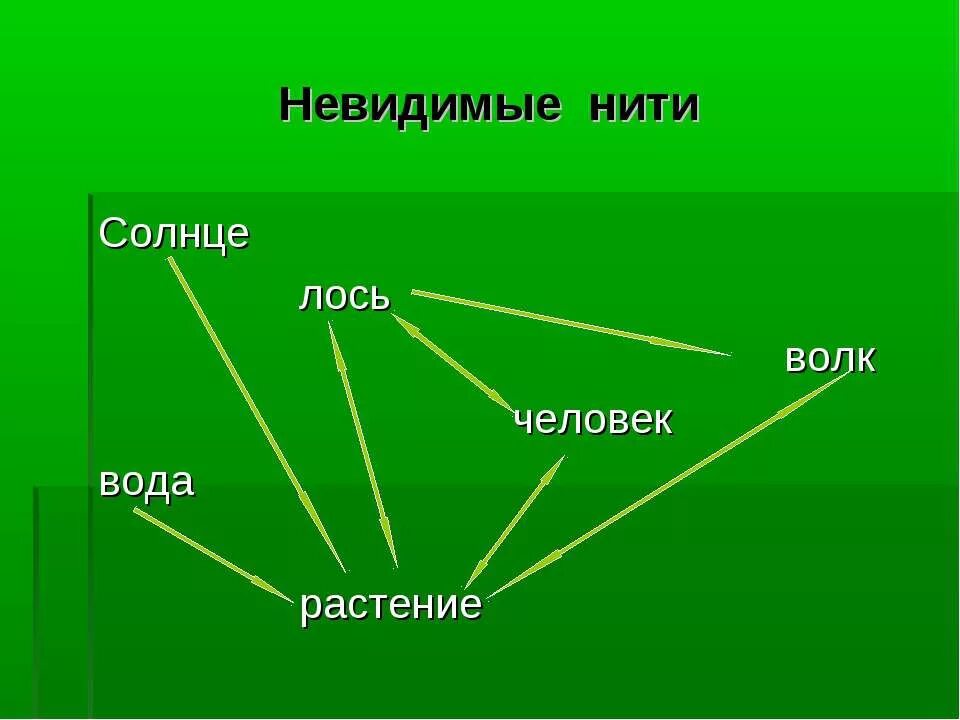 невидимые связи в природе. пищевая цепочка. модель связи в природе. невидимые нити животных. невидимые нити животных.
