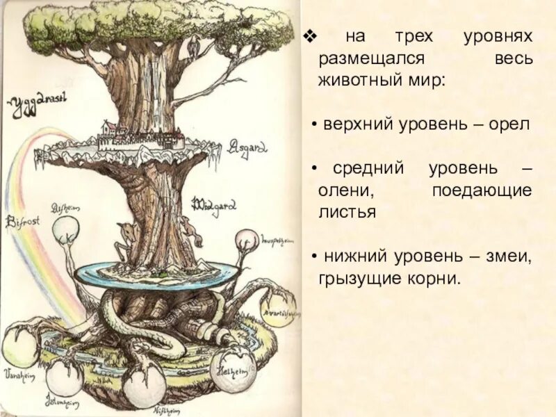 Образования трех миров. Мировое дерево. представления о мировом дереве. верхний средний и нижний мир. дерево иггдрасиль.