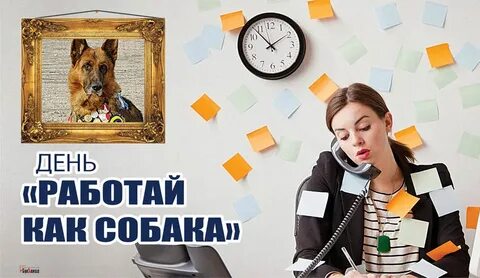 День работаю как собака