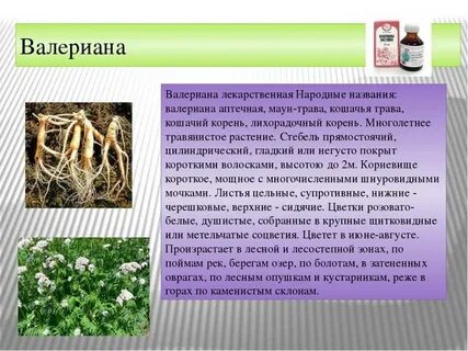 Лекарственная сообщение