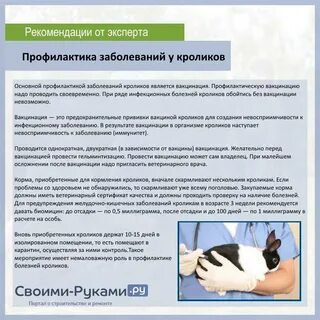 Нужно ли привитым