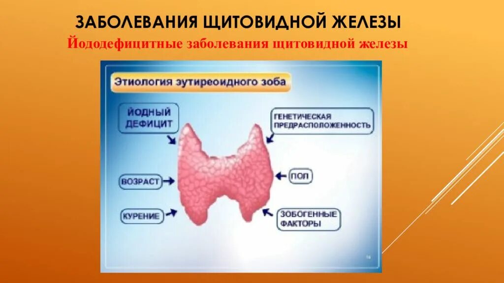 Заболевания связанные с нарушением функций щитовидной железы. Заболевания щитовидной железы. Патология щитовидной железы. Щитовидная железа презентация.