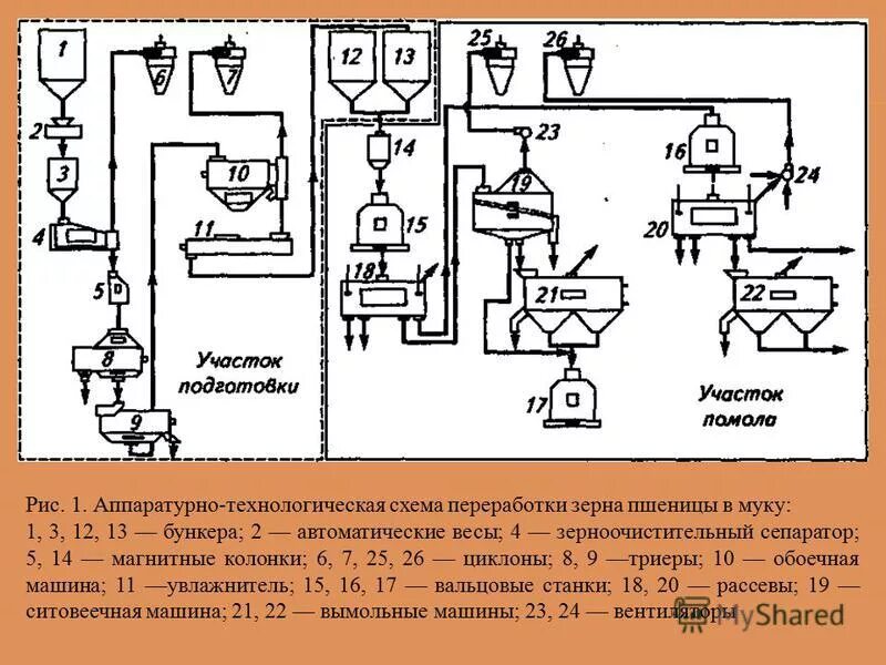 Мука технологическая схема