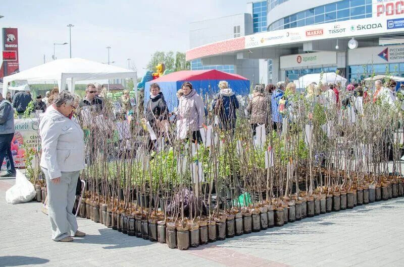 Сад огород екатеринбург магазин. Магазин сад огород. Сад огород екатеринбург магазин. Садовый магазин на лукиных. Магазин товаров для сада и огорода.