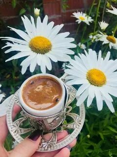 Чашечку добра с утра