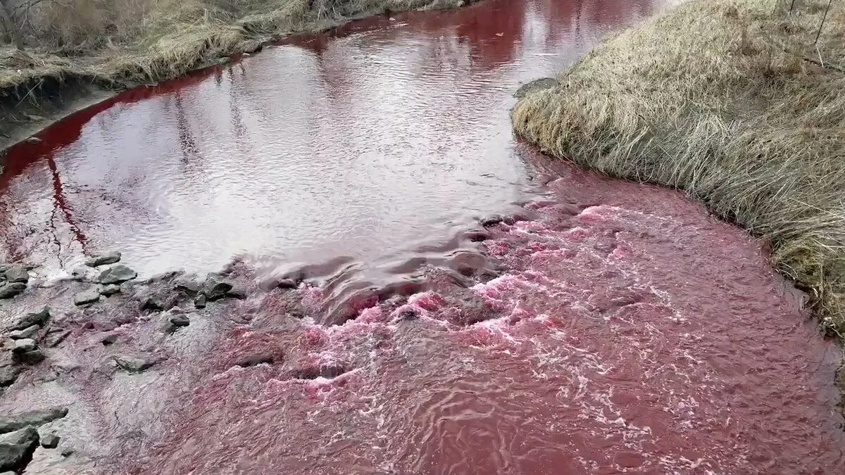 Красная вода.