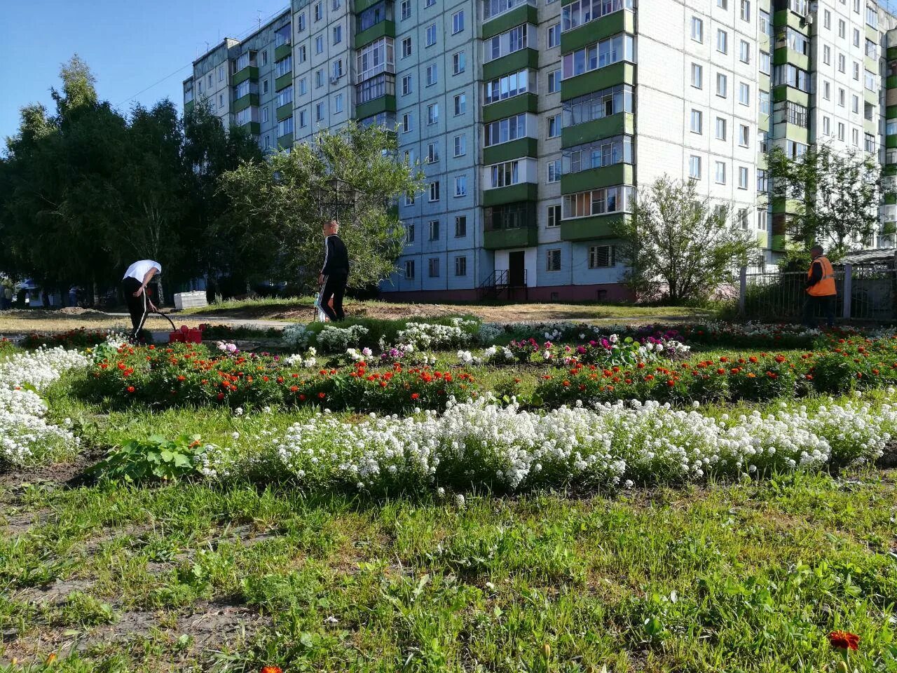 Парк Новоалтайск. Новоалтайск площадь. Бульвар Землянова в Новоалтайске. Парк мандарин Новоалтайск.