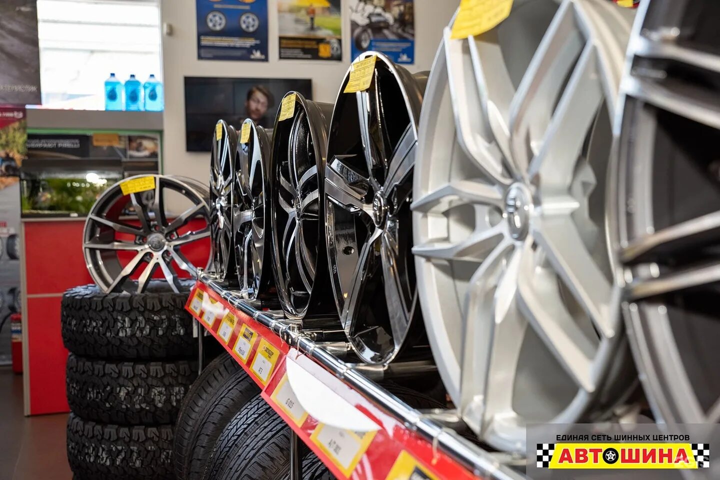 автошина красноярск. круз литье спицы. шинторг вологда. шины диски орел. шины диски орел.