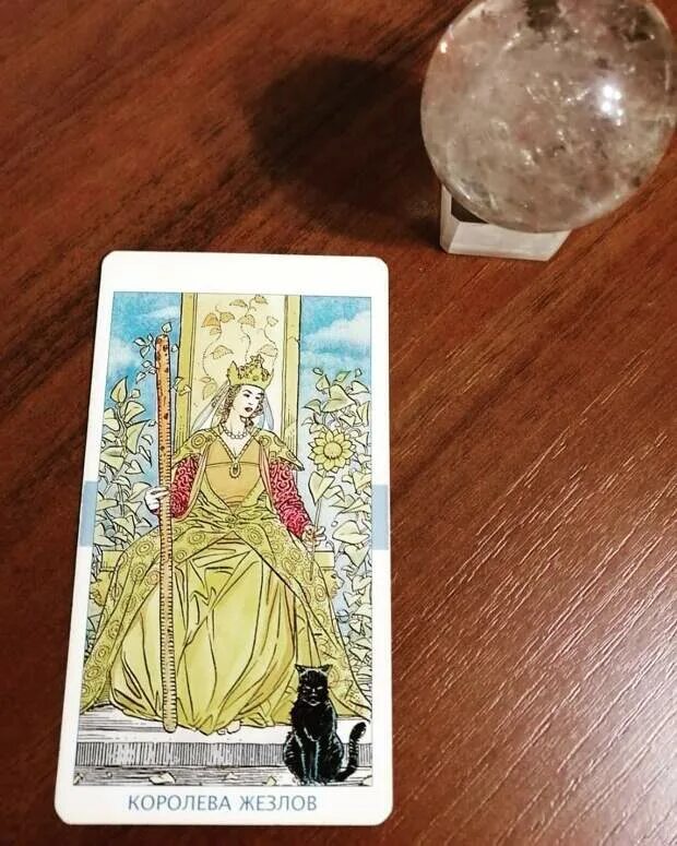 Королева жезлов значение да или нет. Королева жезлов таро уйэта. таро ночи королева жезлов. аркан королева жезлов. таро ведьм королева жезлов.