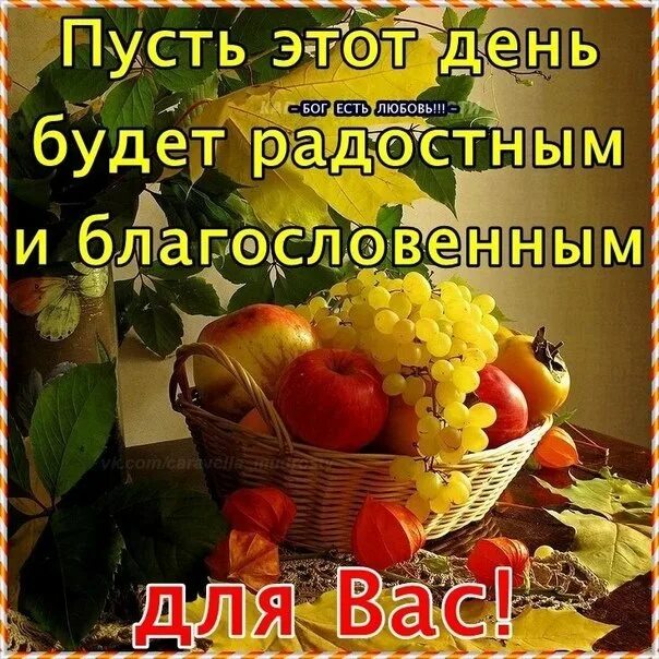 Бог доброе утро благослови. Пожелание благословения на день. доброго здоровья и божьего благословения. с добрым утром благословенного дня. доброе утро божьих благословений.