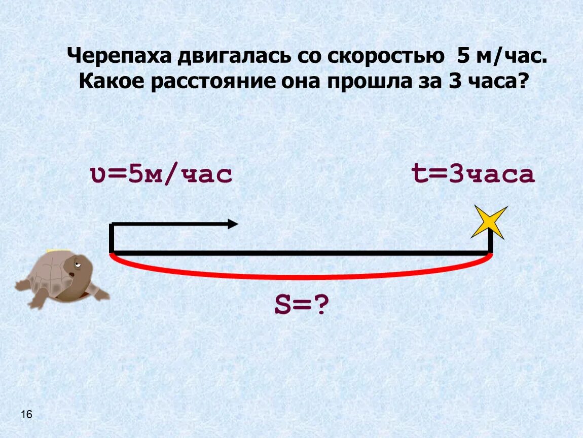 Черепаха движется со скоростью. Черепаха двигалась со скоростью 5 м/мин. Черепаха двигалась со средней скоростью. С какой скоростью двигается черепаха в час. Скорость черепахи метров в минуту