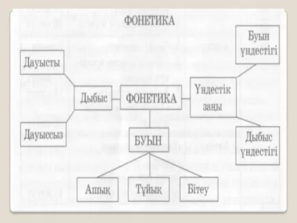 Что такое фонетика и графика