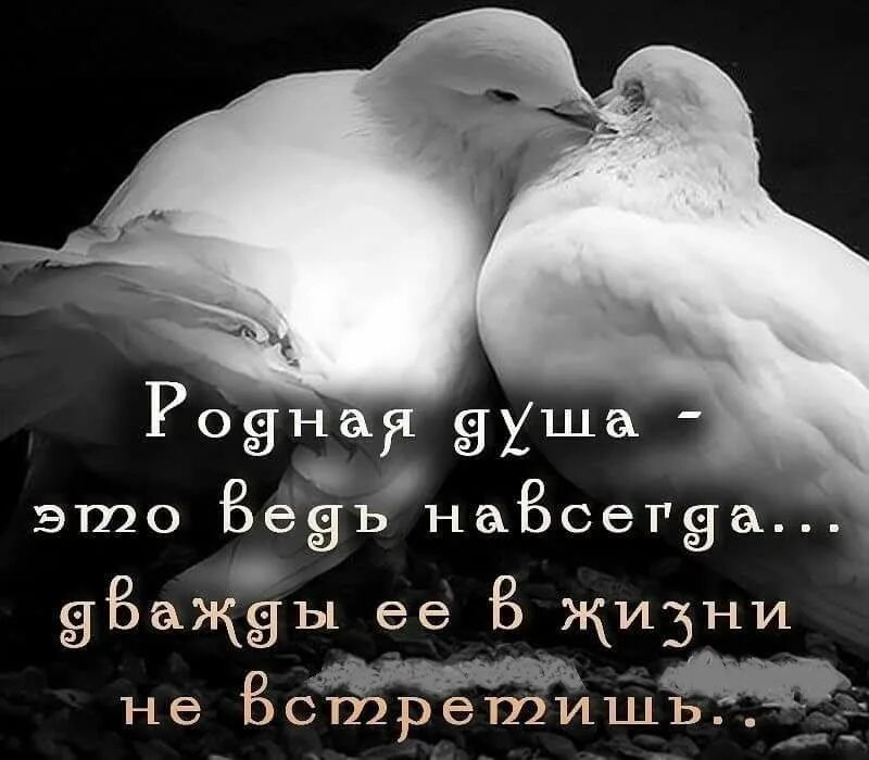 Родная душа 9. Ты любовь всей моей жизни. Люблю тебя больше жизни. Люблю тебя больше жизни любимый. Самому родному и любимому.