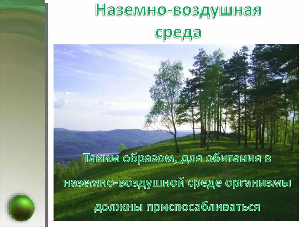 Как человек изменяет наземно воздушную среду обитания. Наземно-воздушная среда. наземно-воздушная среда обитания. воздушно-наземная среда обитания. влажность в наземно воздушной среде обитания.