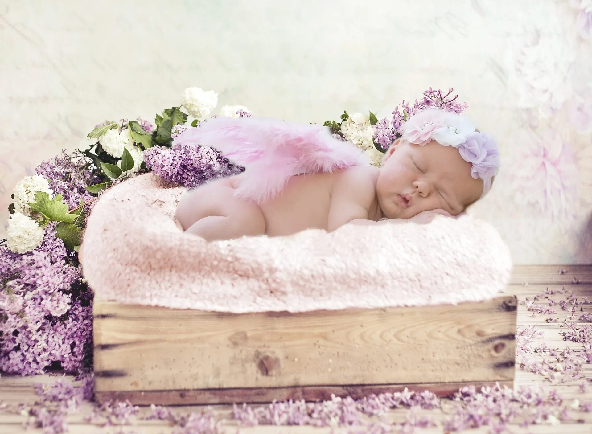 Поздравляем месяц малышке. Поздравление с первым месяцем. Фотосессия с новорожденным. Новорожденные в цветах. Фотосессия новорожденного в цветах.