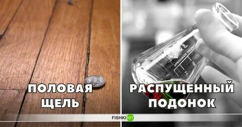 Половая щель
