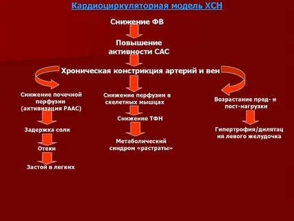 Недостаточность фк