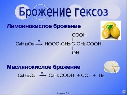 Брожение глюкозы